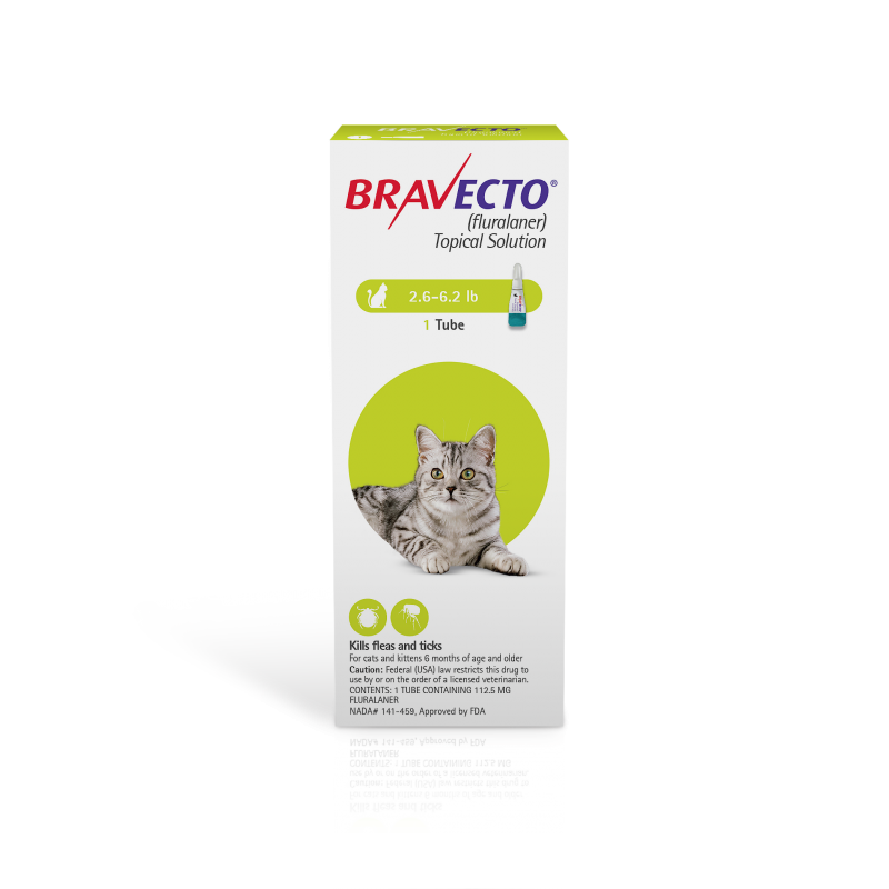 Bravecto Topical Solution for Small Cats