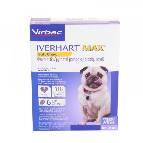 Iverhart Max 12-25 6 doses 