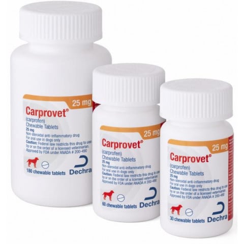 Carprovet (Carprofen) - 25 mg 1 chew