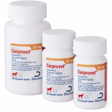 Carprovet (Carprofen) - 25 mg 1 chew Category