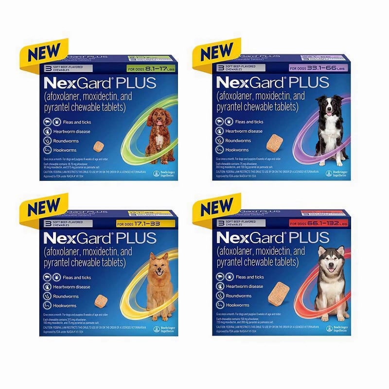 NexGard PLUS for Dogs - Pet VM