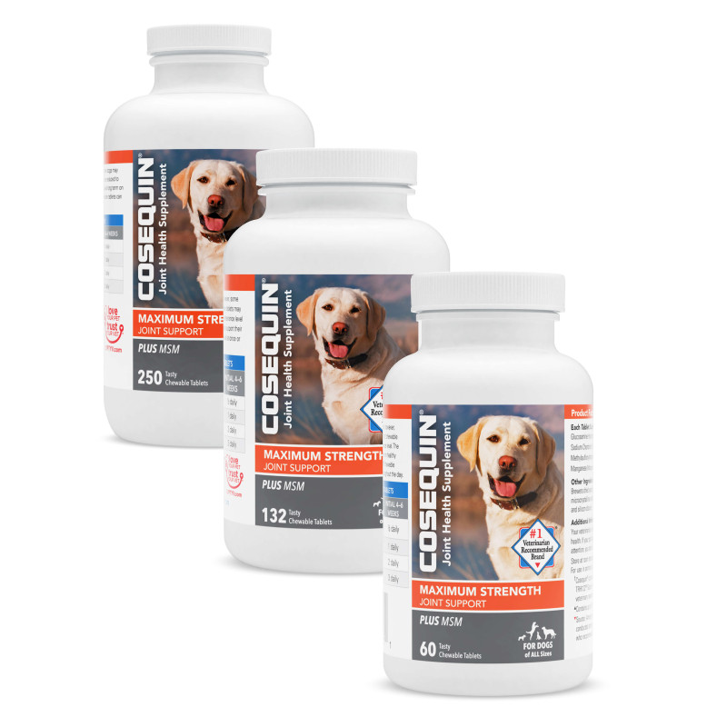 Cosequin ds plus msm hotsell for dogs