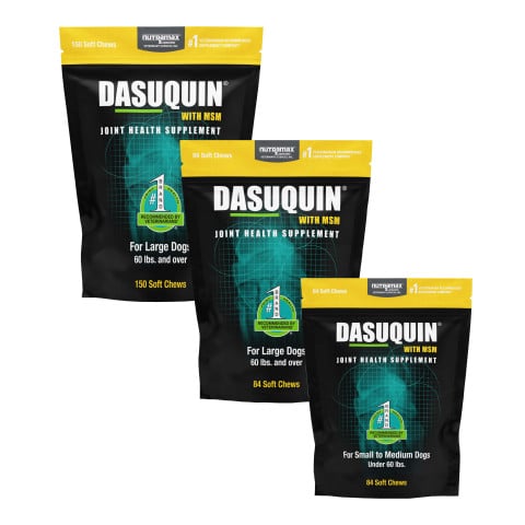 Dasuquin soft chews with MSM cover