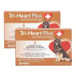 Tri-Heart Plus 50-100 lbs 12 doses
