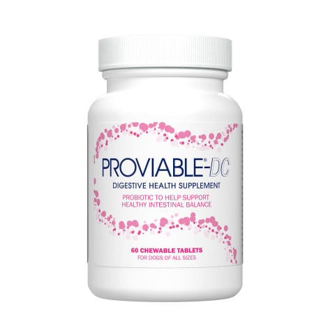 Proviable-DC Chewable Tablets 1 PACK