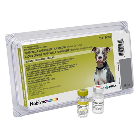 Nobivac Canine Intra-Trac Oral Bb 25 ds Tray