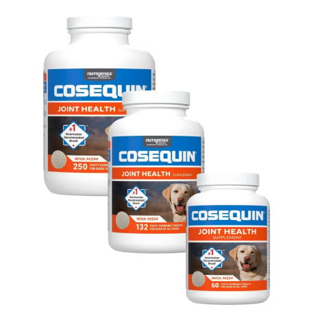 Cosequin DS Maximum Strength Plus MSM Chewable Tablets cover