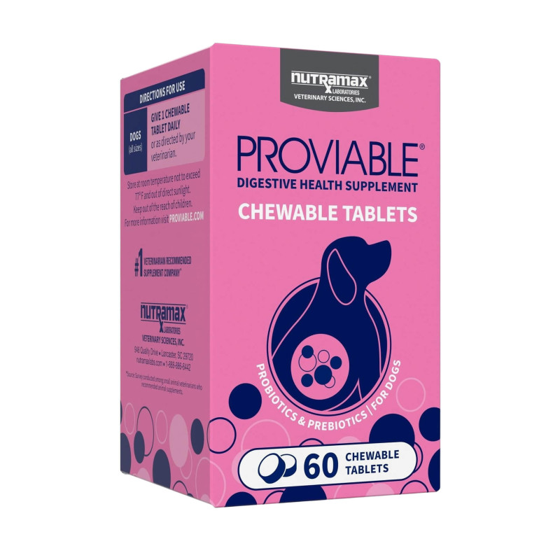 Proviable-DC Chewable Tablets 1 PACK