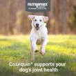 Cosequin Maximum Strength With MSM PLUS Omega-3s Soft Chews