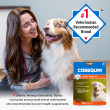 Cosequin Maximum Strength With MSM PLUS Omega-3s Soft Chews
