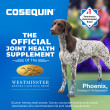 Cosequin Maximum Strength With MSM PLUS Omega-3s Soft Chews