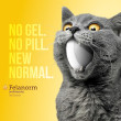 Felanorm (Methimazole)