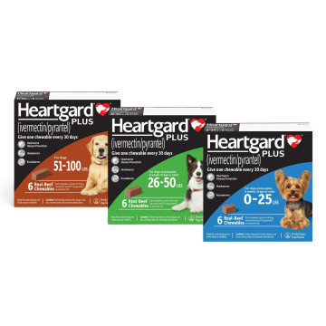 Heartgard Plus cover Category