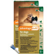 Advantage Multi 55-88
