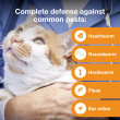 Advantage Multi for Cats 5-9 lbs