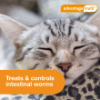 Advantage Multi for Cats 9-18 lbs