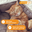 Advantage Multi for Cats 9-18 lbs