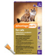 Advantage Multi for Cats 9-18 lbs 