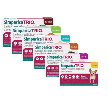 Simparica Trio Cover Category