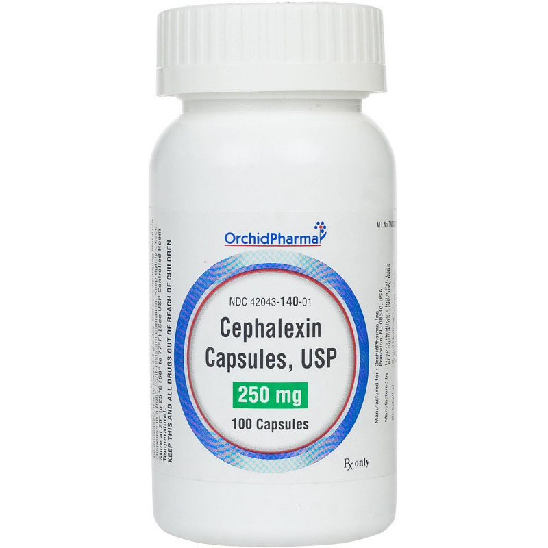 Can Cats Take Cephalexin 500mg