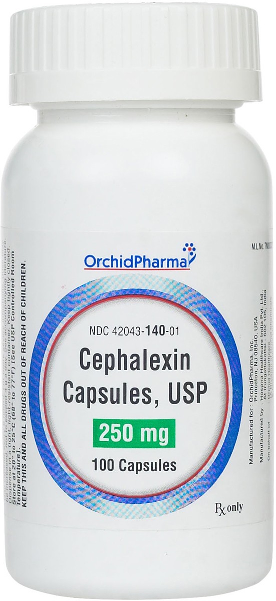 what are the side effects of cephalexin 500 mg in dogs