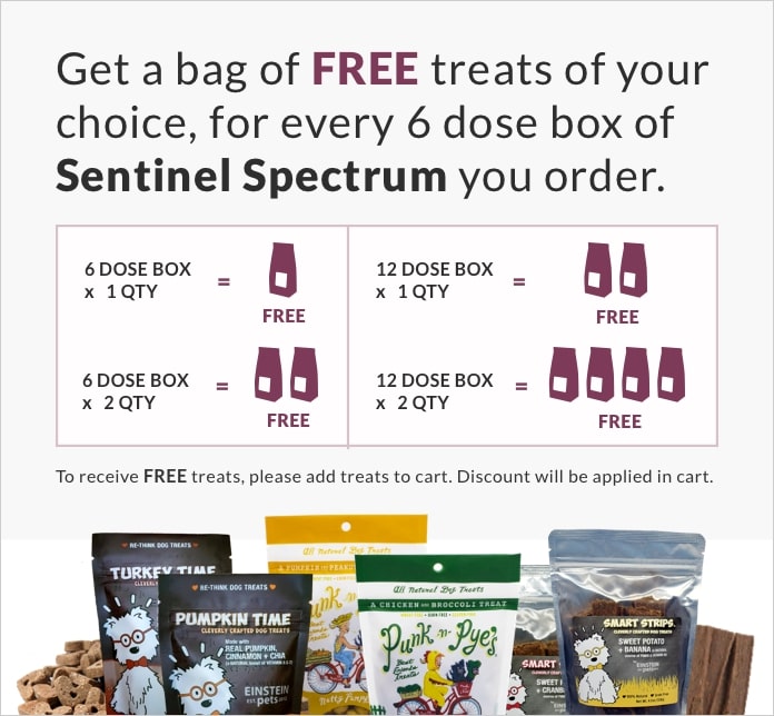 Learn More about Treats Mobile