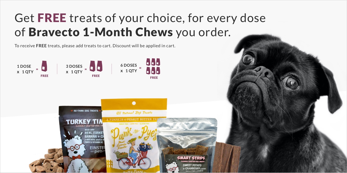Bravecto 1-Month Chews for Dogs 44-88lbs, 1 Month Supply